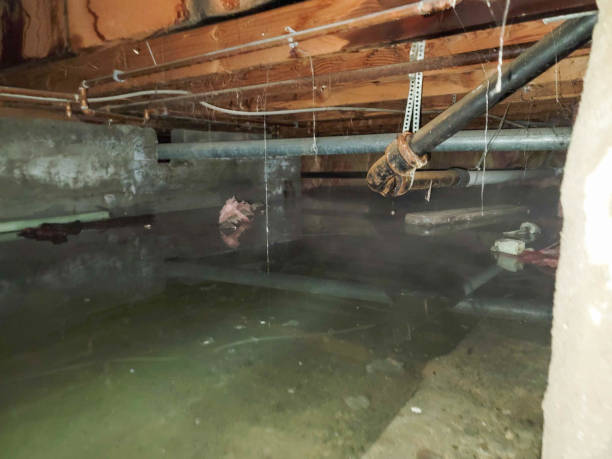 Best Flood damage cleanup  in Mannford, OK