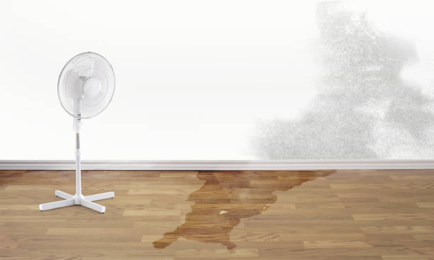 Best Mold removal after water damage  in Mannford, OK