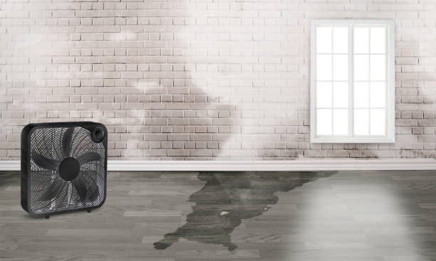 Trusted Mannford, OK Water damage restoration Experts
