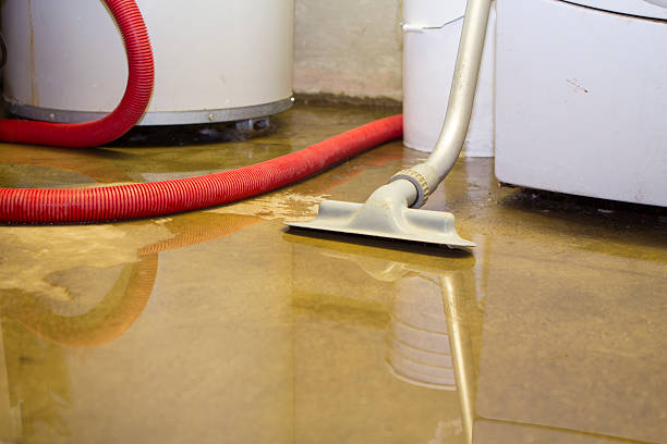 Best Water damage restoration experts  in Mannford, OK